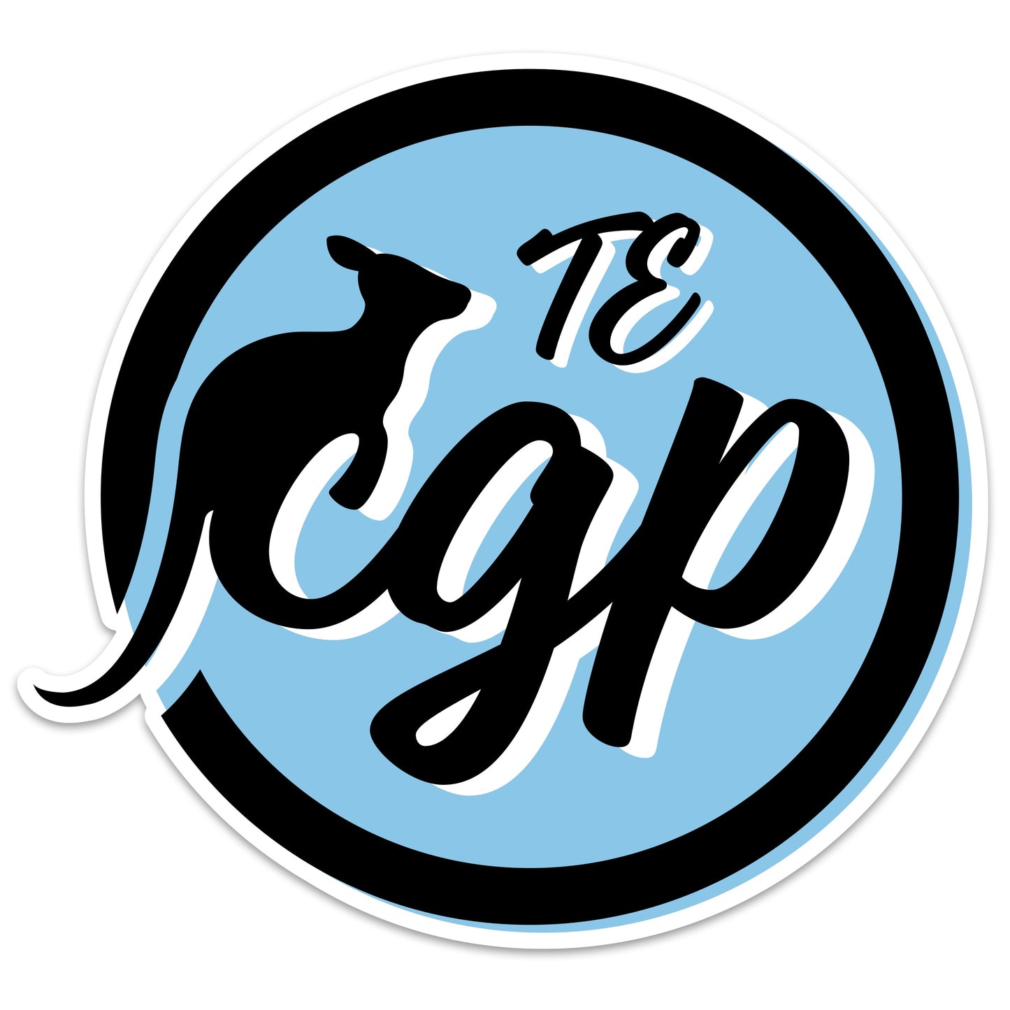 TE CGP Magnet